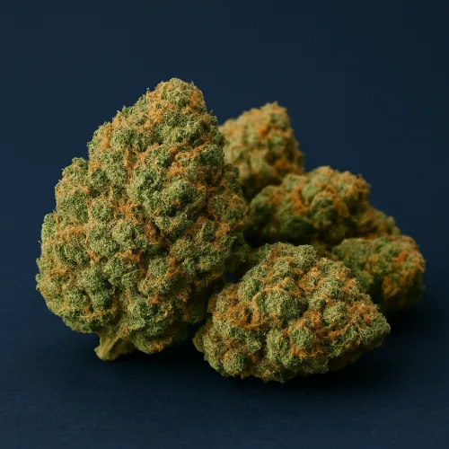 Popular flower